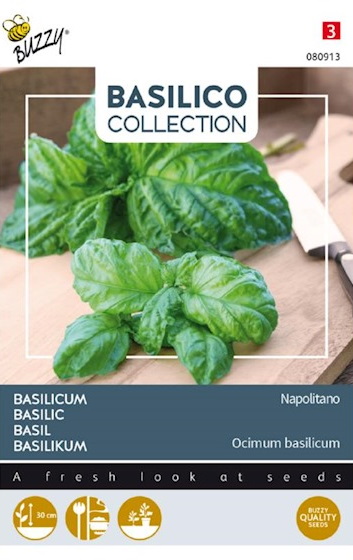 Basil Napolitana (Ocimim basilicum) 900 seeds BU